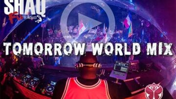 DJ Diesel aka ShaqFu at TomorrowWorld 2015 – Can You Dig It!?!