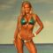 Valenti Gold Cup 2013 – NPC Bikini Competitor – Jill Kristine (Masters Open and Division A)